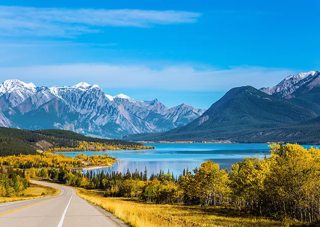 Provincial referendum coming this fall