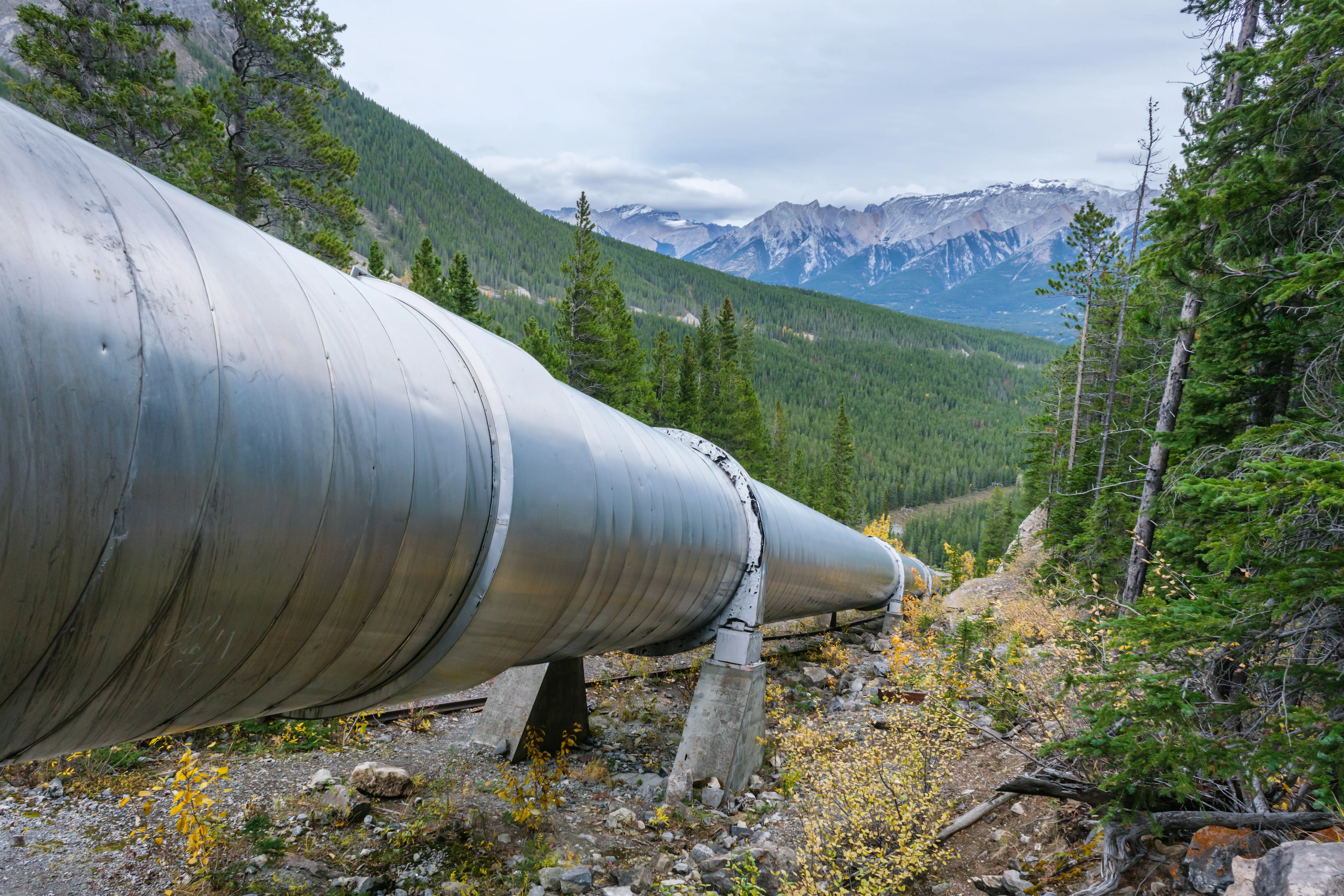 An oil pipeline runs through the Alberta mountains. The pipeline is in the foreground, and the background shows the Rocky Mountains.